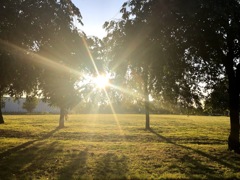 公園の夕日