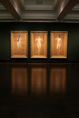 特別展示
