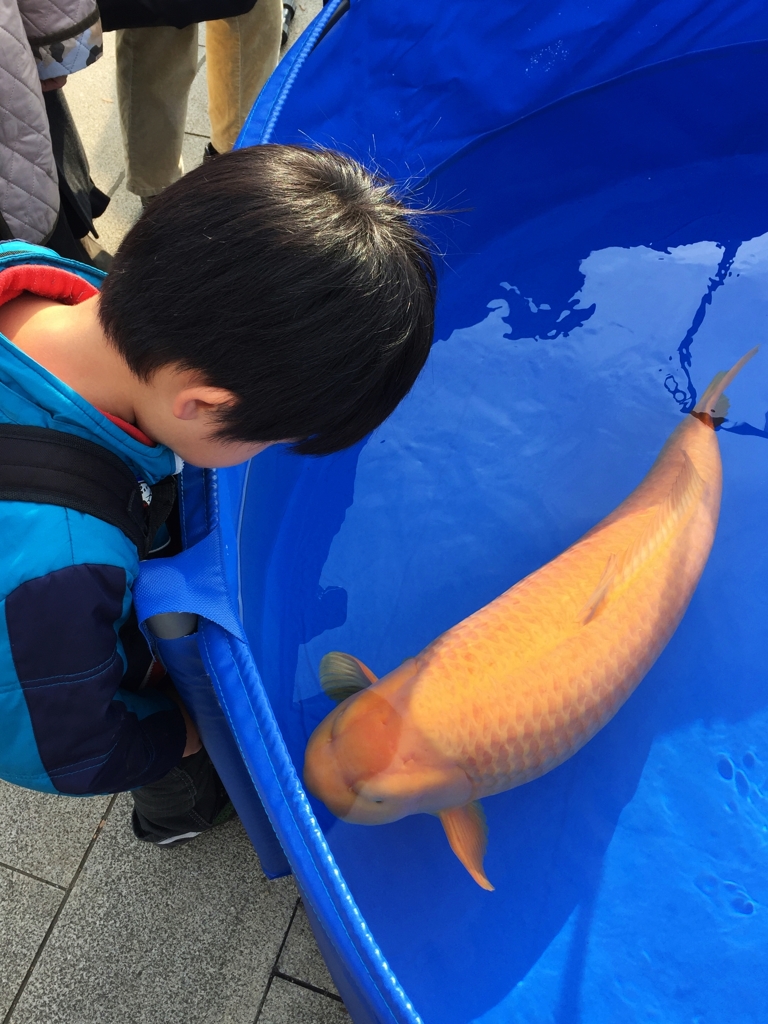 賢者の教え