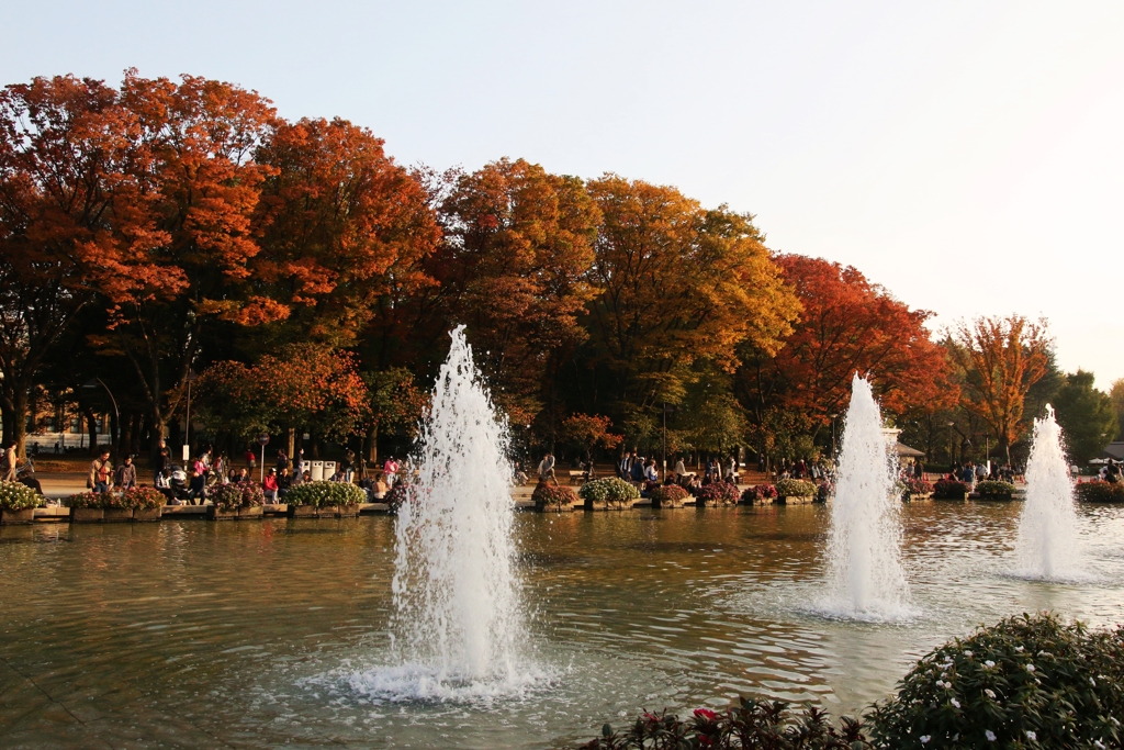 上野公園紅葉+噴水3
