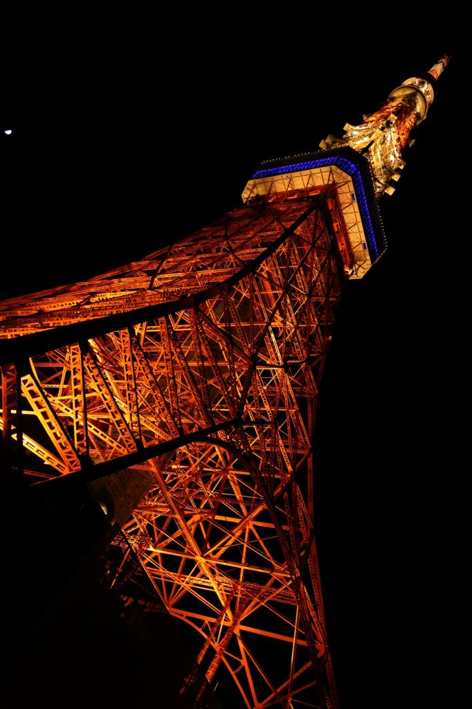 2015.06.24東京タワー2