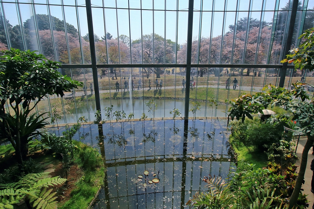 温室