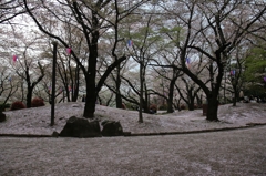まるで雪が積もったよう