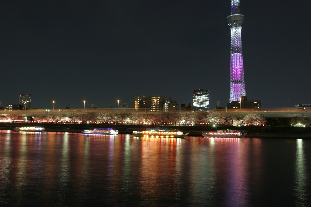 スカイツリー桜色