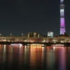 スカイツリー桜色