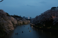 千鳥ヶ淵