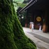 雨の靖国神社
