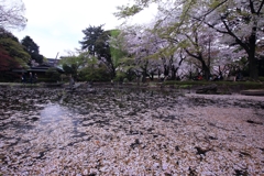 靖国神社の神池庭園