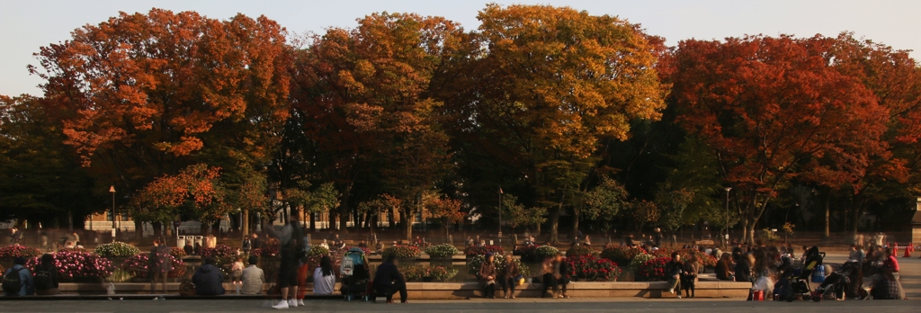 上野公園噴水広場