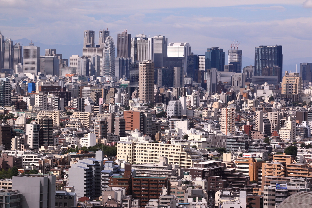 新宿午前中