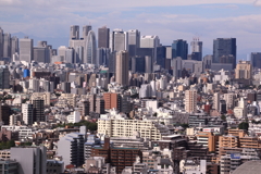 新宿午前中