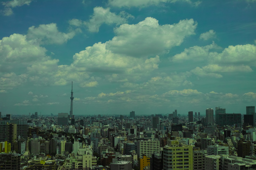 梅雨の晴れ間