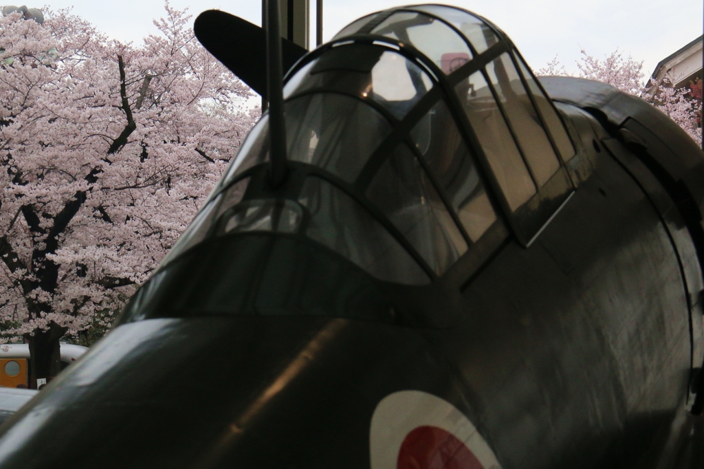 桜と戦闘機