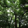 日比谷公園3