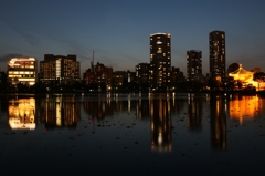 不忍の池、夜景