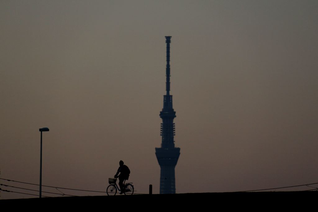 朝のスカイツリー