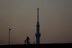 朝のスカイツリー