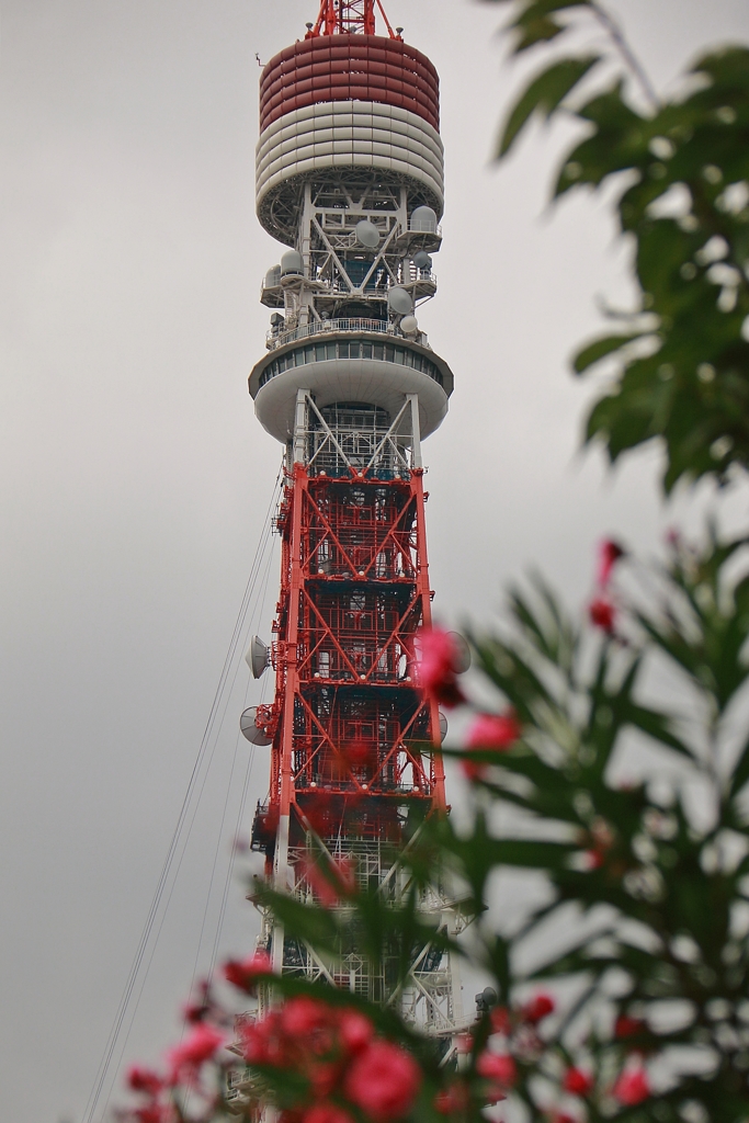 東京タワー