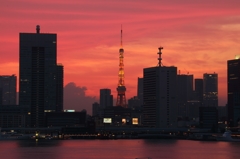 晴海から