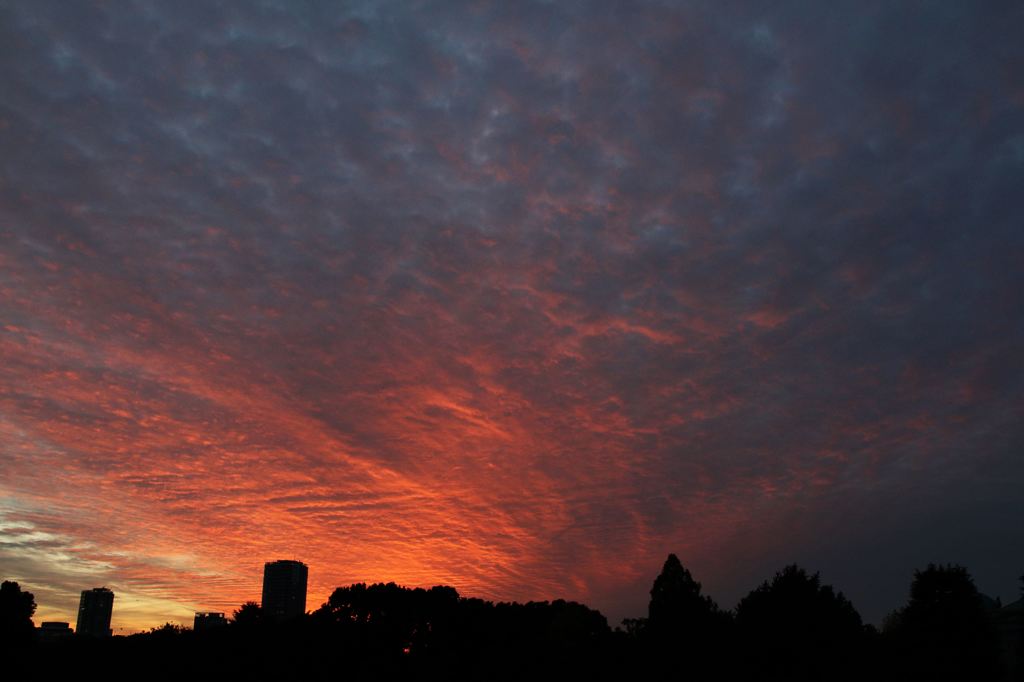 夕焼け　上野