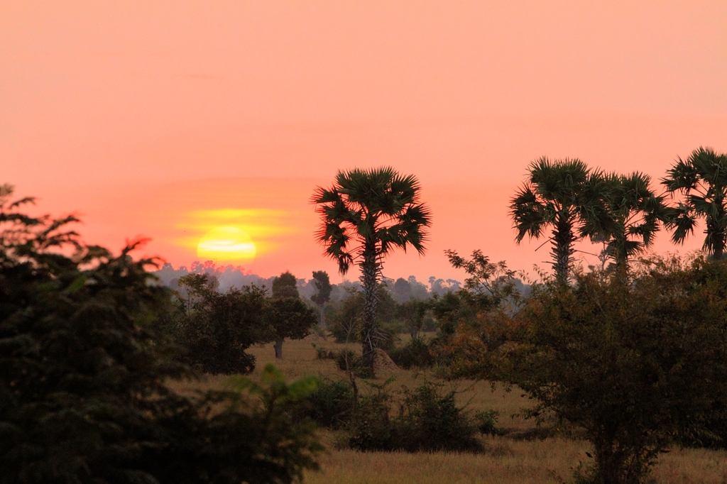 Sunset in Cambodia