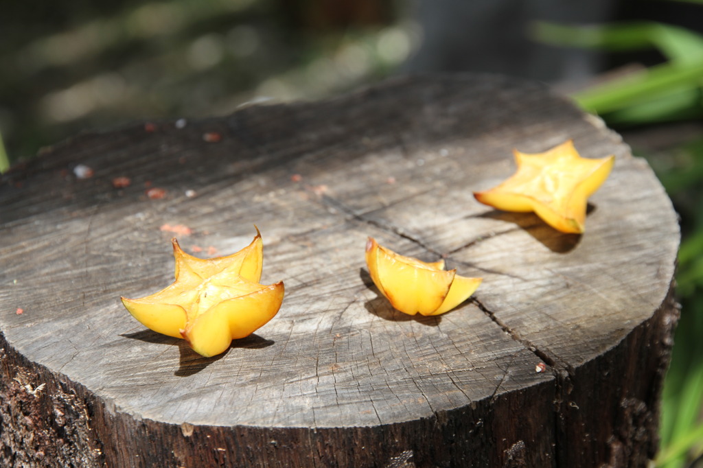 SWEET STAR FRUITE