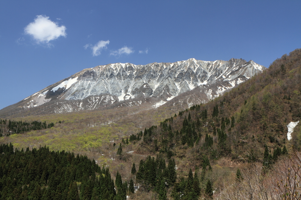 大山の春