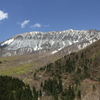 大山の春