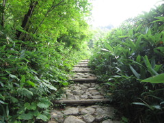 尾瀬　まだまだ登り