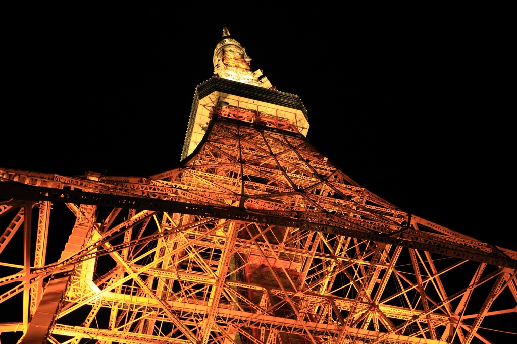 東京タワーの股ぐらより
