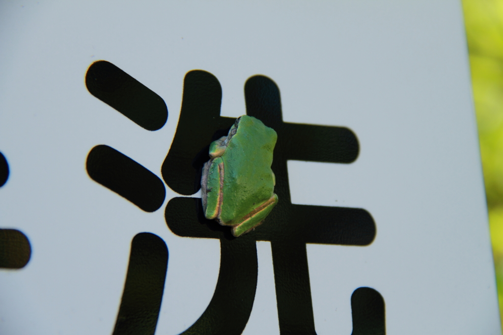 洗って！？