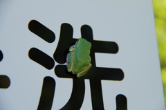 洗って！？