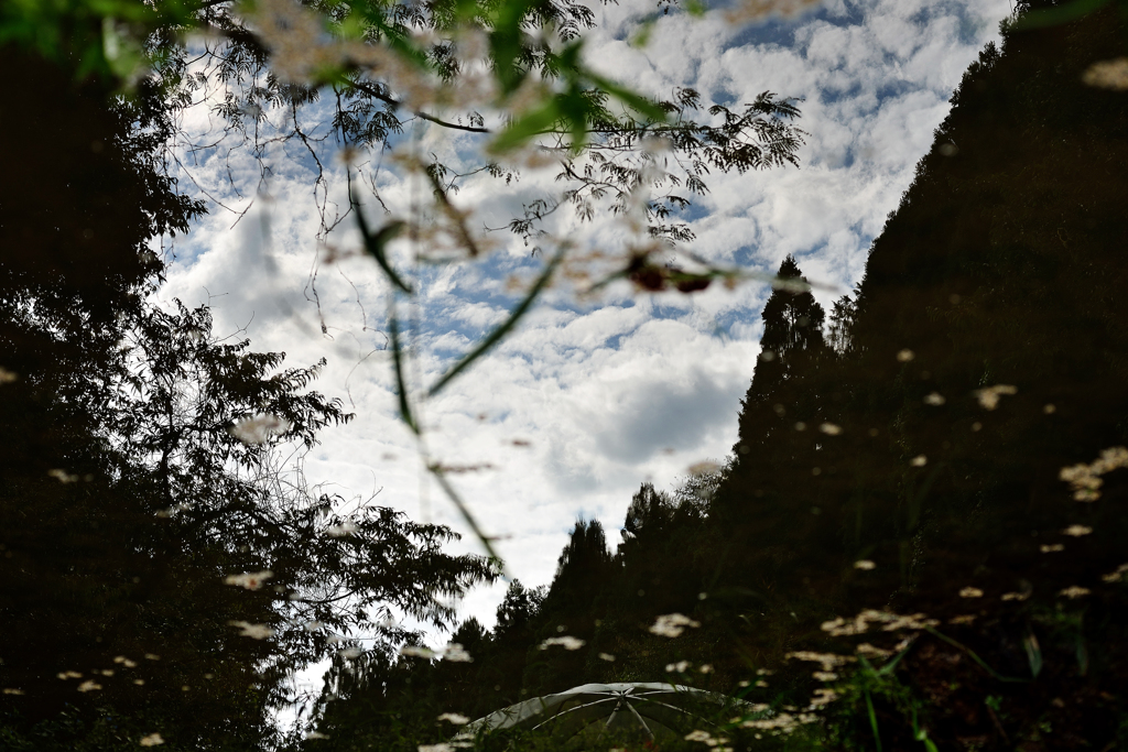 里山の風景2
