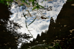 里山の風景2