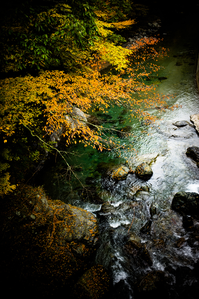Autumn point