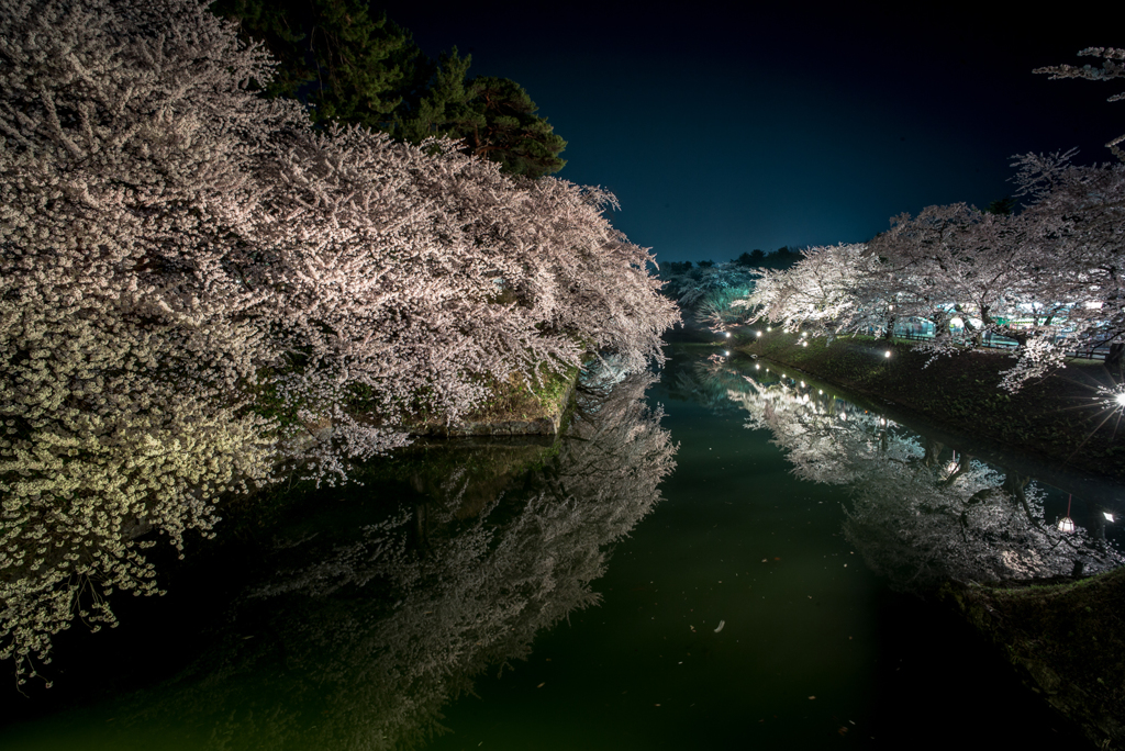 Spring landscape