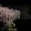 Moonlight~"SHIDARE"