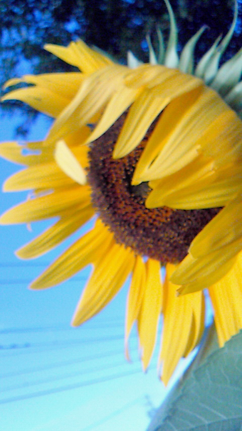 20100811105645