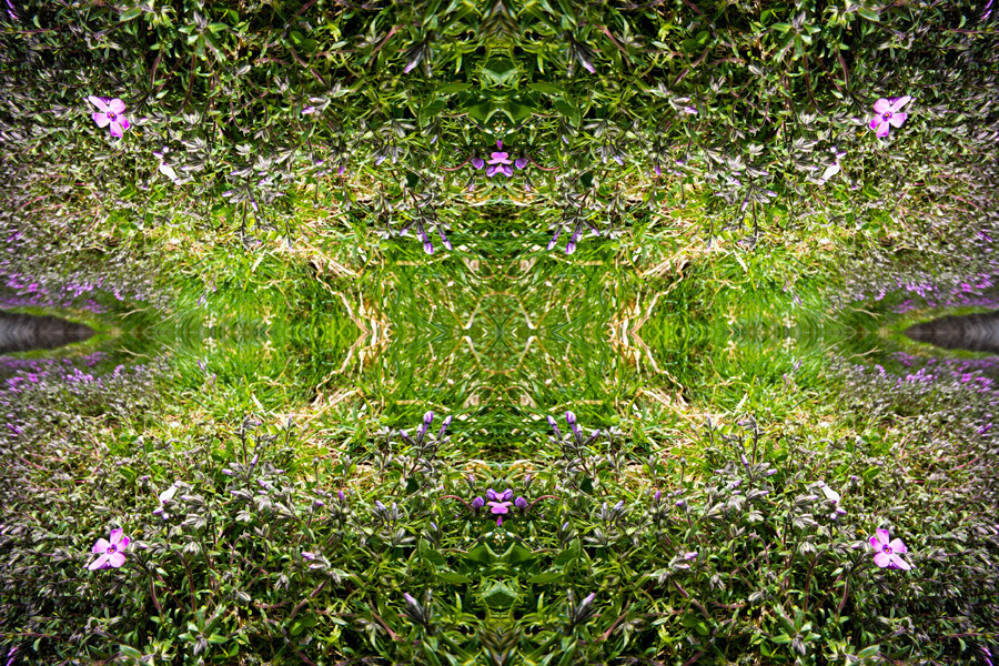 「四季」Natural beauty psychedelic
