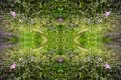 「四季」Natural beauty psychedelic