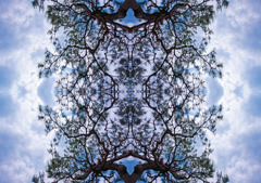 「四季」Natural beauty psychedelic　19