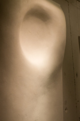 【OmnivoreZ⑥】×Mariko Sataka Exhivision