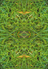 「四季」Natural beauty psychedelic　23