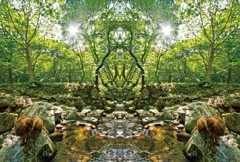 「四季」Natural beauty psychedelic　7