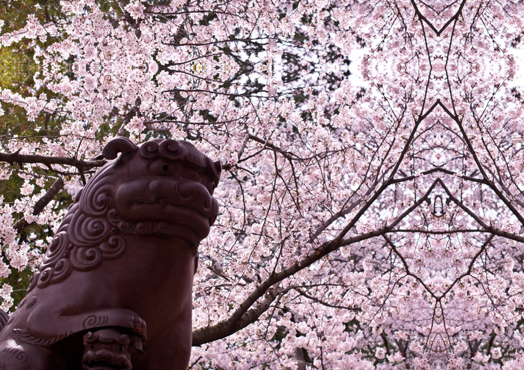 「四季」Natural beauty psychedelic