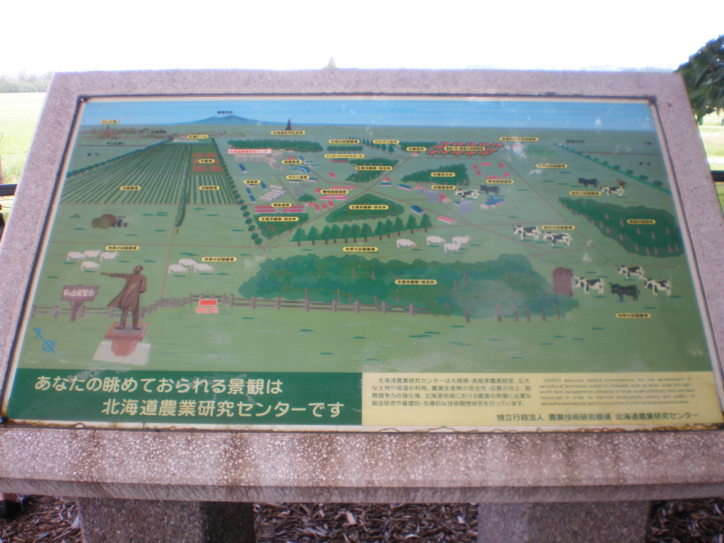 羊が丘展望台