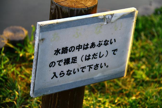 フリ？
