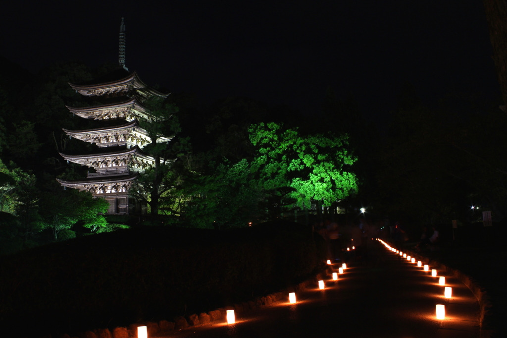 山口の秋の夜を彩る『ゆらめき回廊』♪（国宝瑠璃光寺五重塔）