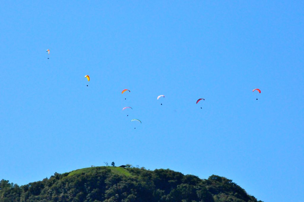 paraglider