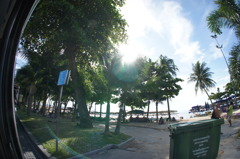 DSC00865 - コピー